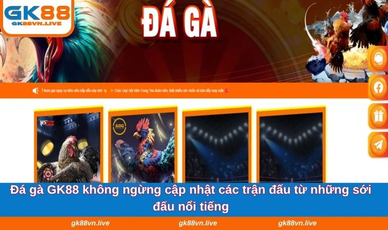 Đá gà GK88 không ngừng cập nhật các trận đấu từ những sới đấu nổi tiếng